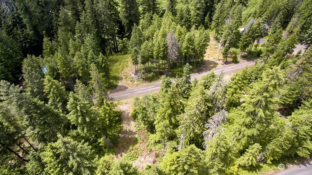 1 Lodgepole Lane Cougar, WA 98616