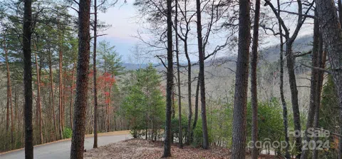Lot 34 Wilderness Creek Way #34