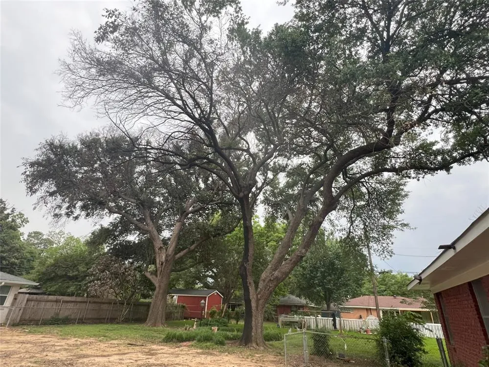 4622 Tibbs Street Shreveport, LA 71105
