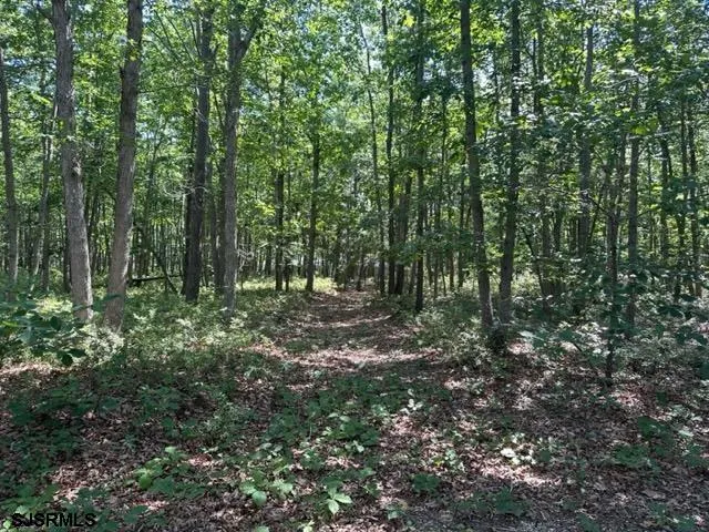 126 S New York Rd Galloway Township, NJ 08205
