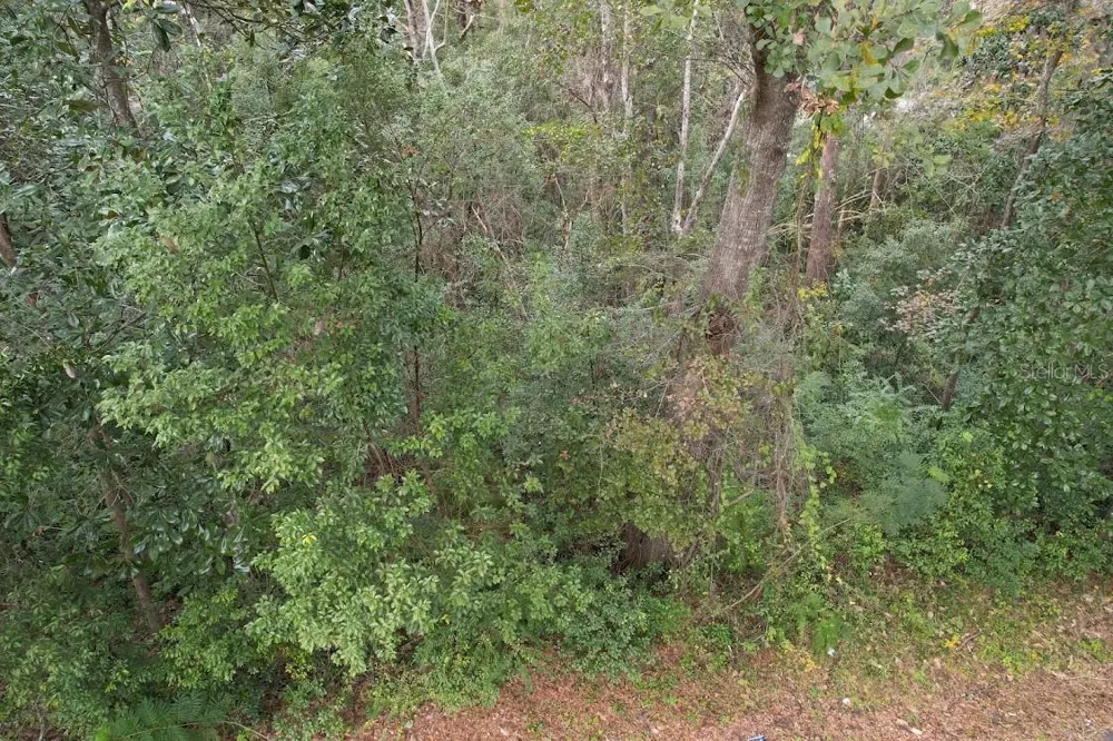 3-12-2N-4W-1100-0000B-009 STATION STREET Quincy, FL 32351