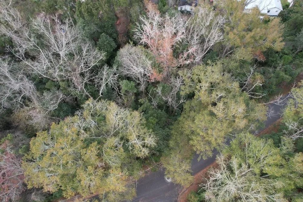 3-12-2N-4W-1100-0000B-009 STATION STREET Quincy, FL 32351