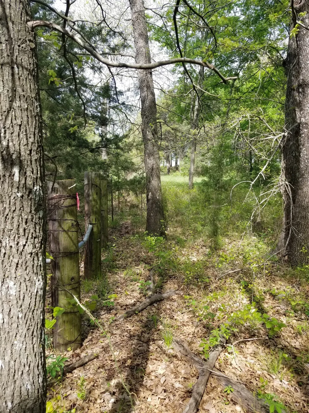 Fleming Road Bells, TX 75414