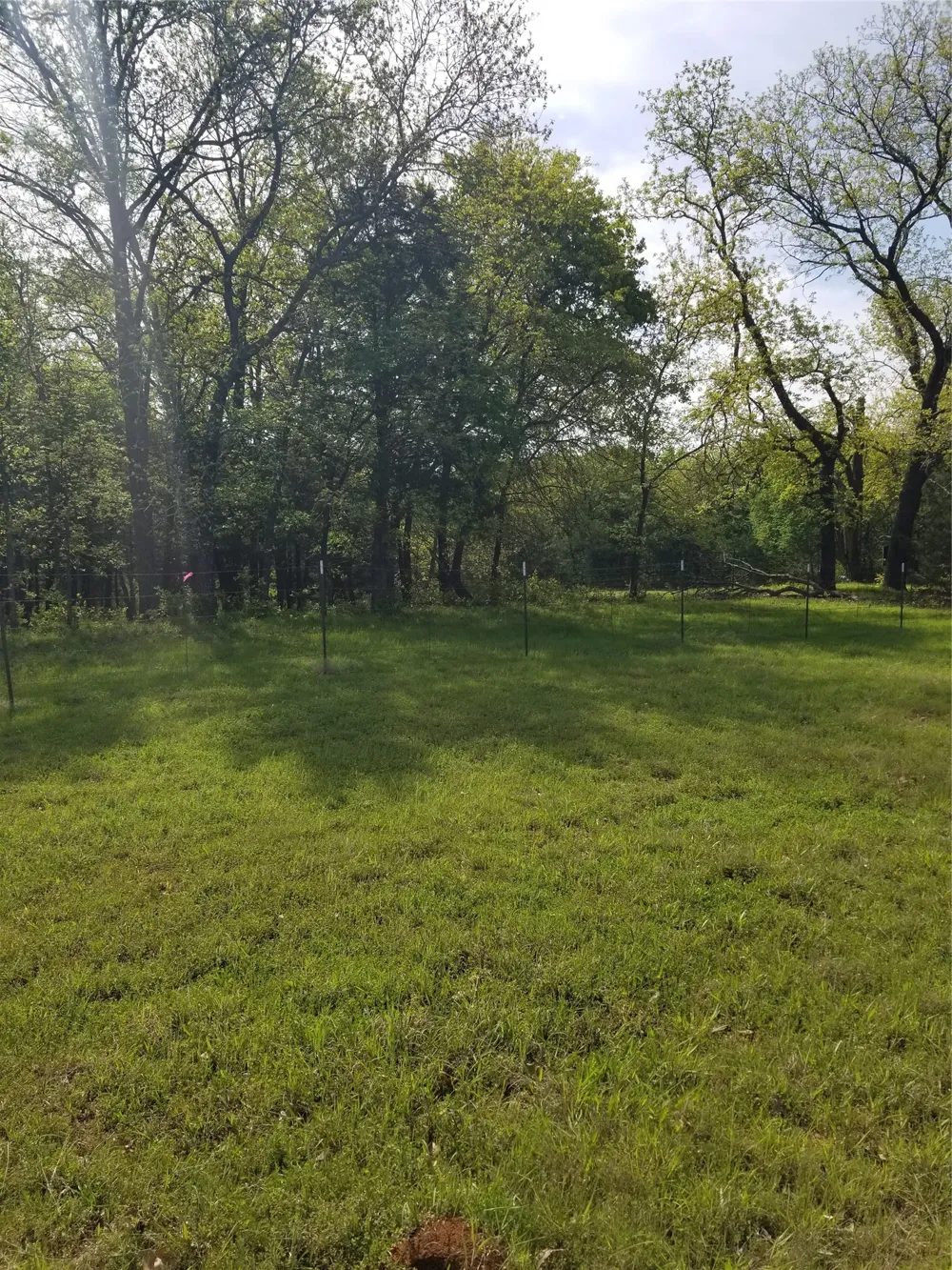 Fleming Road Bells, TX 75414