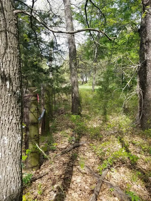 Fleming Road Bells, TX 75414