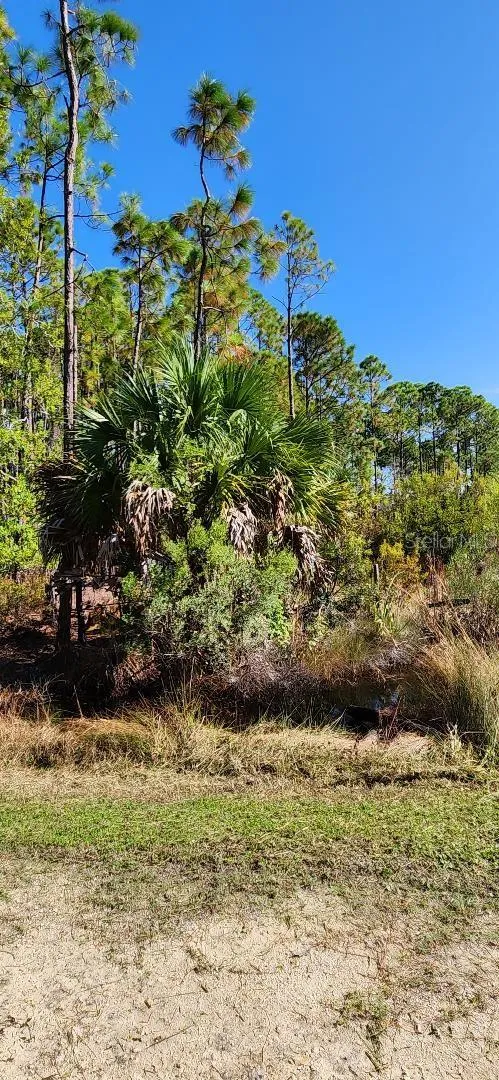 Lot 9 SW 104 STREET Cedar Key, FL 32625