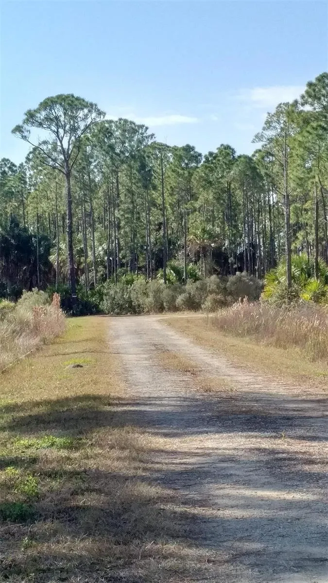 Lot 9 SW 104 STREET Cedar Key, FL 32625