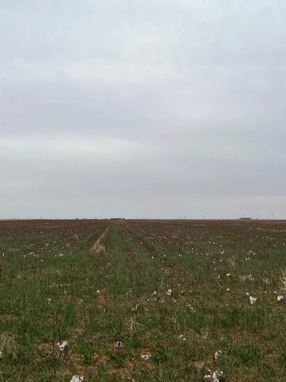 FM 597 Abernathy, TX 79311