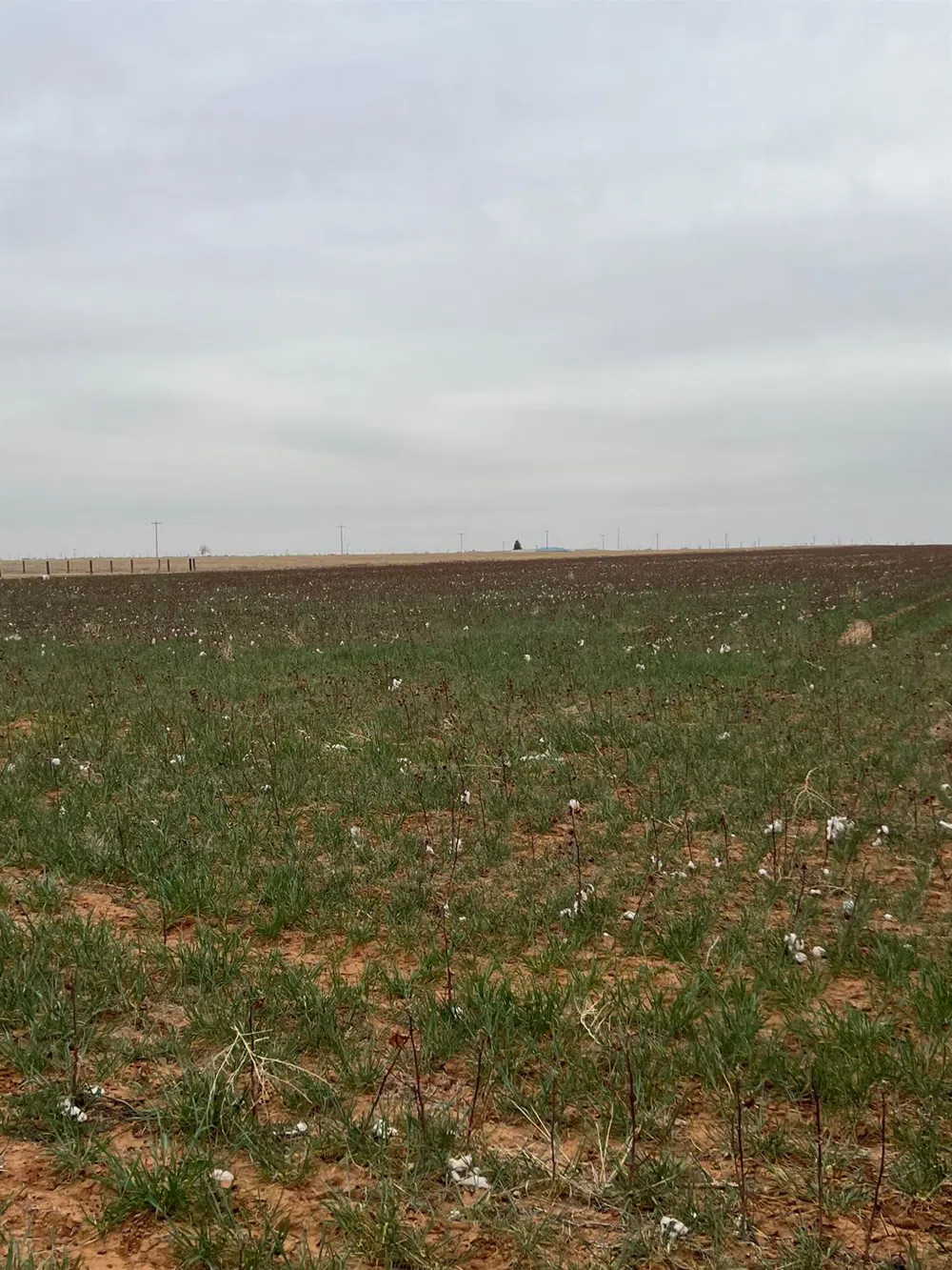 FM 597 Abernathy, TX 79311