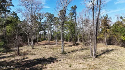 107 Pin Oak Court