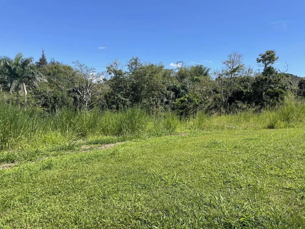 JACINTO Caguas, PR 00725