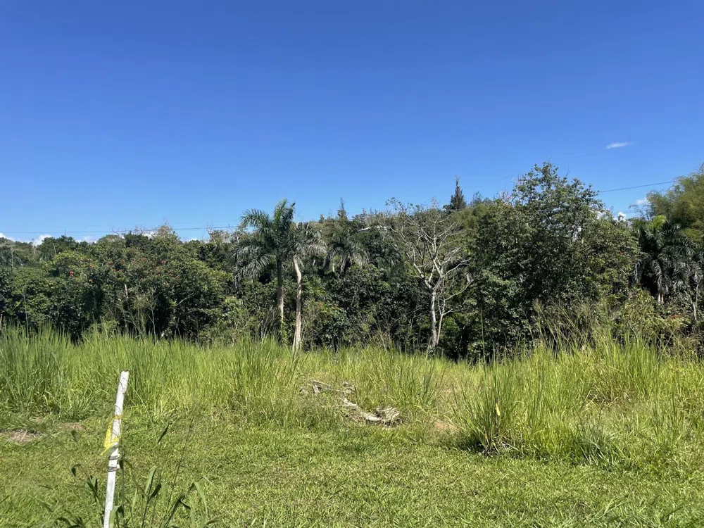 JACINTO Caguas, PR 00725