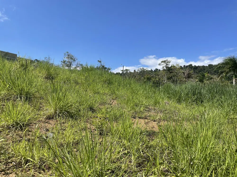 JACINTO Caguas, PR 00725