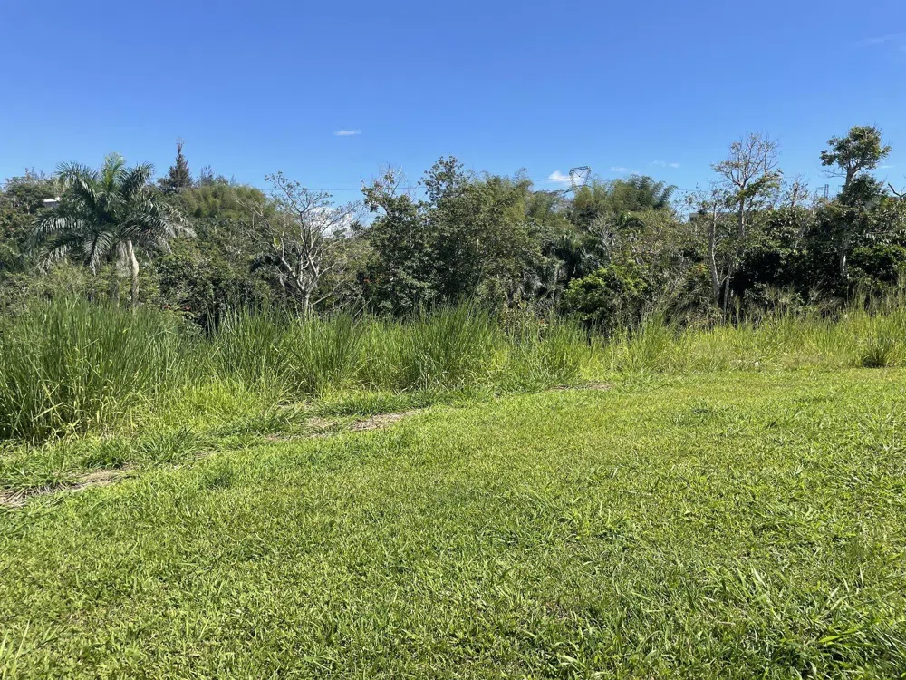 JACINTO Caguas, PR 00725