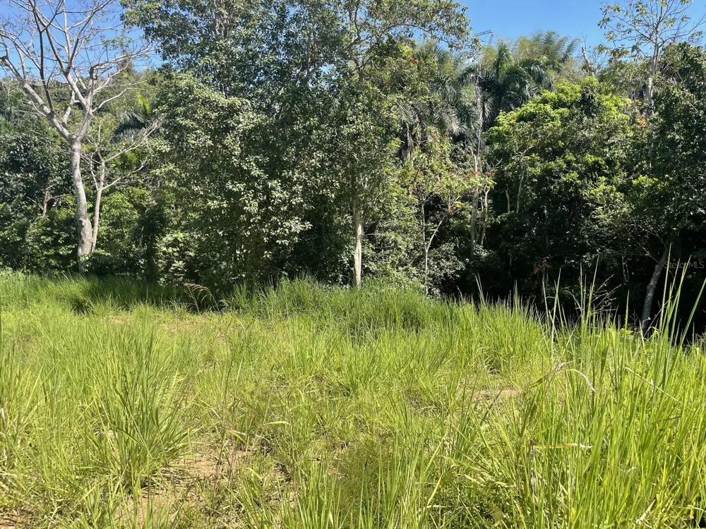JACINTO Caguas, PR 00725