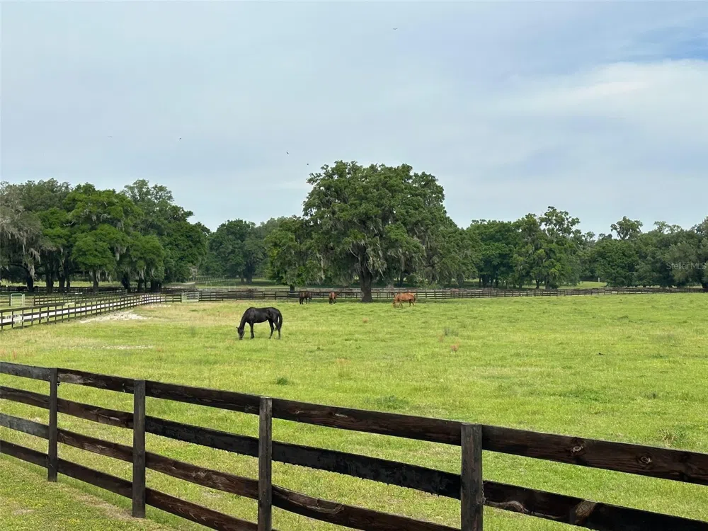 4101 NW 89TH PLACE ocala, FL 34482