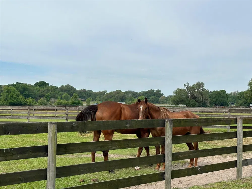 4101 NW 89TH PLACE ocala, FL 34482