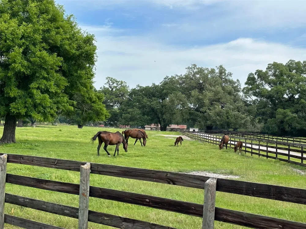 4101 NW 89TH PLACE ocala, FL 34482