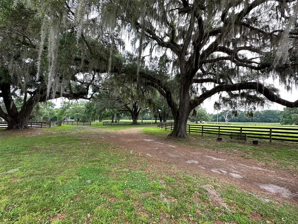 4101 NW 89TH PLACE ocala, FL 34482