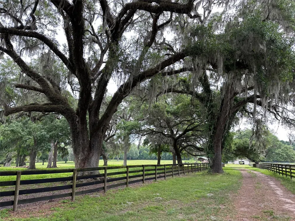 4101 NW 89TH PLACE ocala, FL 34482