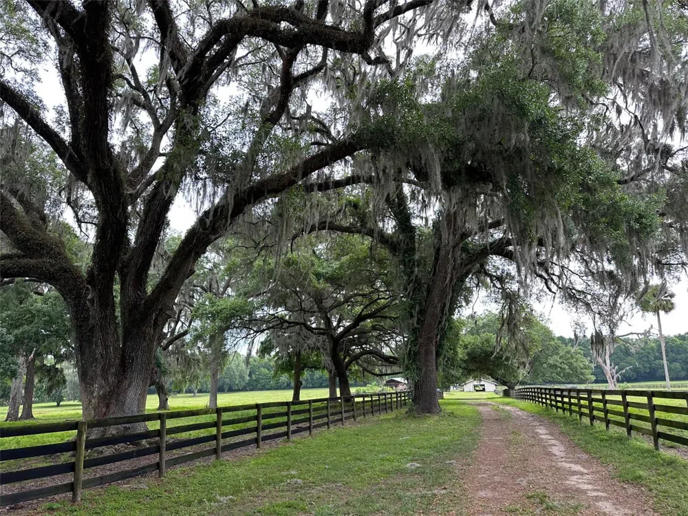 4101 NW 89TH PLACE ocala, FL 34482