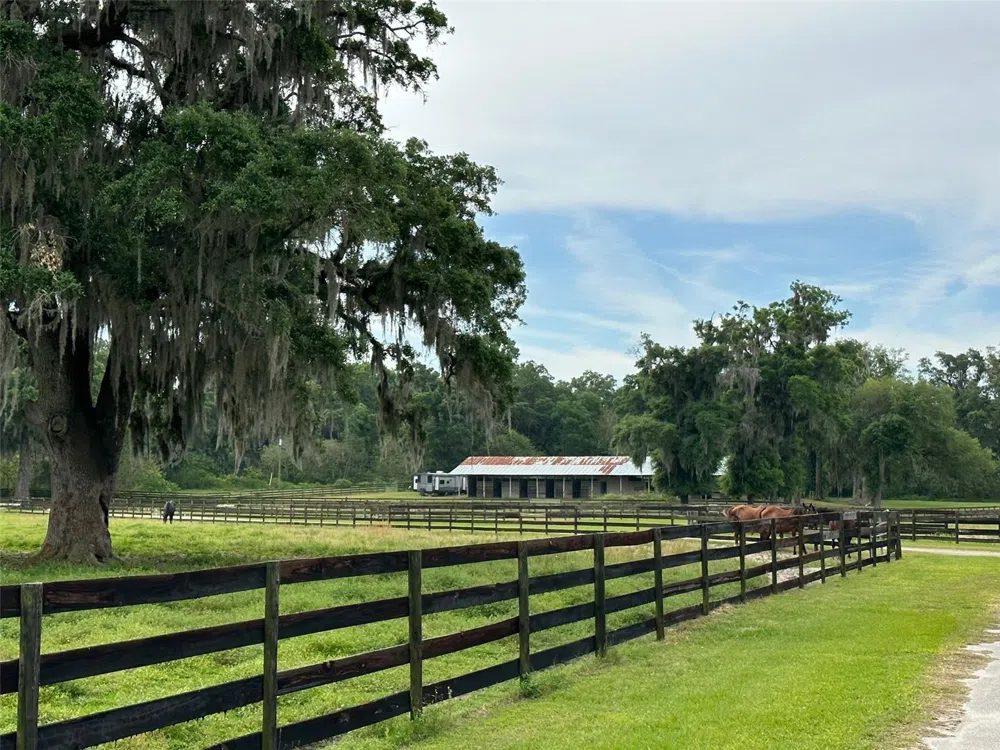 4101 NW 89TH PLACE ocala, FL 34482