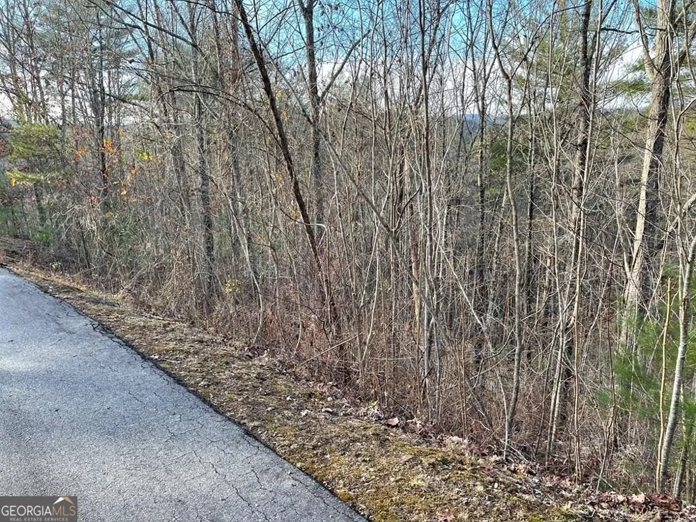 LOT 59C Mountain Harbour Hayesville, NC 28904