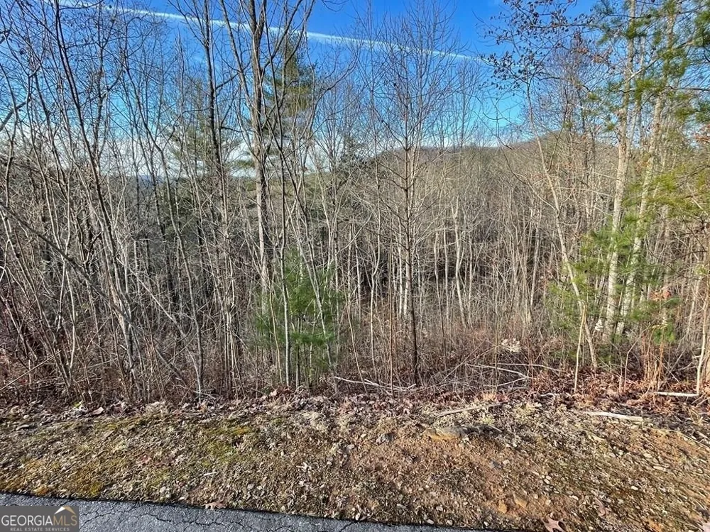 LOT 59C Mountain Harbour Hayesville, NC 28904