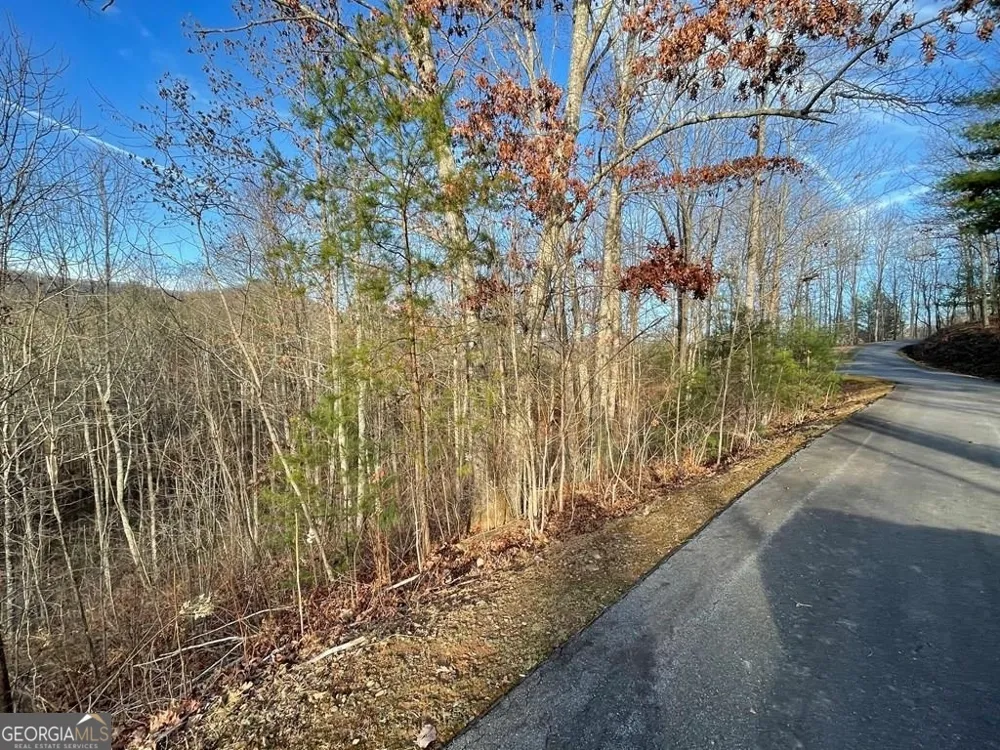 LOT 59C Mountain Harbour Hayesville, NC 28904