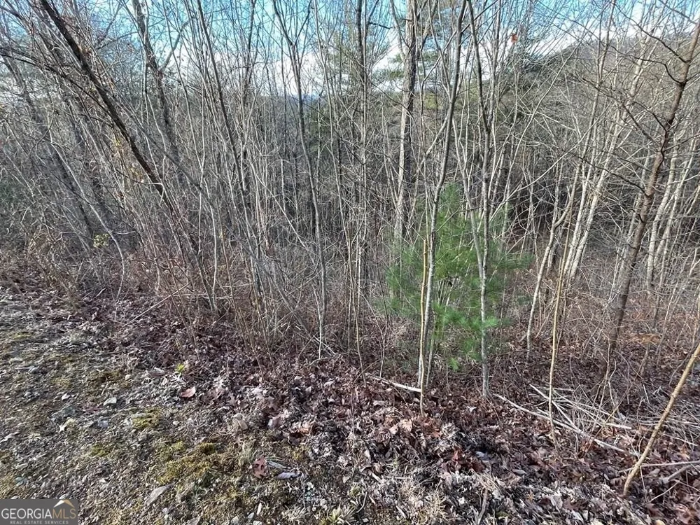 LOT 59C Mountain Harbour Hayesville, NC 28904