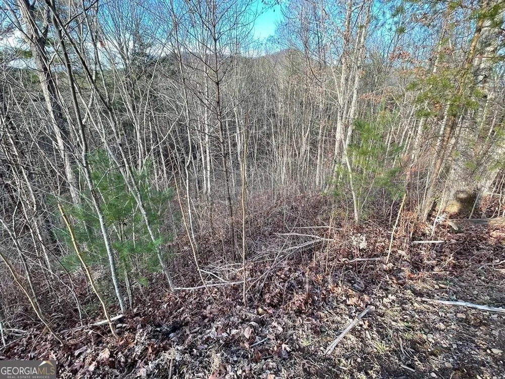 LOT 59C Mountain Harbour Hayesville, NC 28904