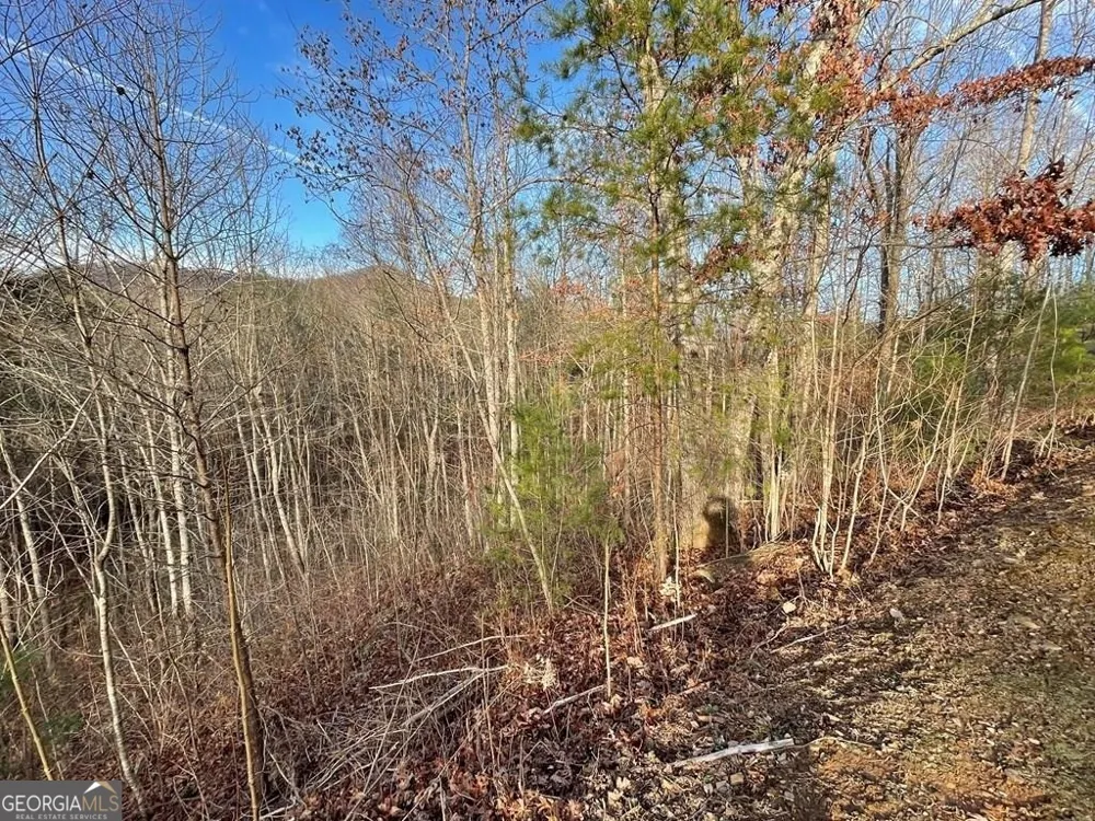 LOT 59C Mountain Harbour Hayesville, NC 28904