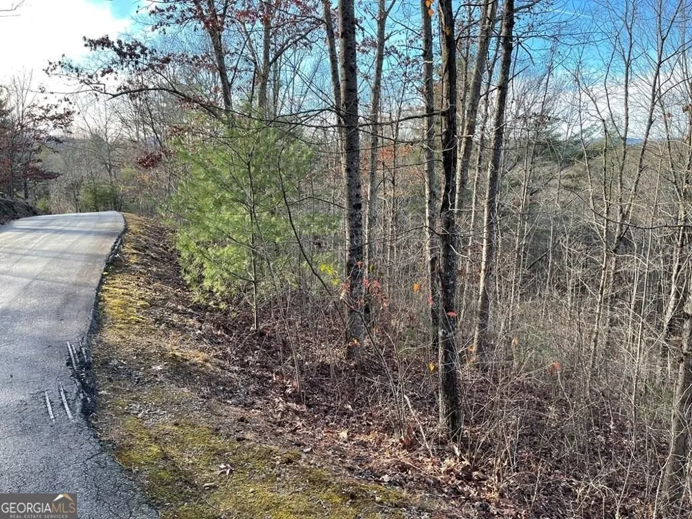 LOT 59C Mountain Harbour Hayesville, NC 28904