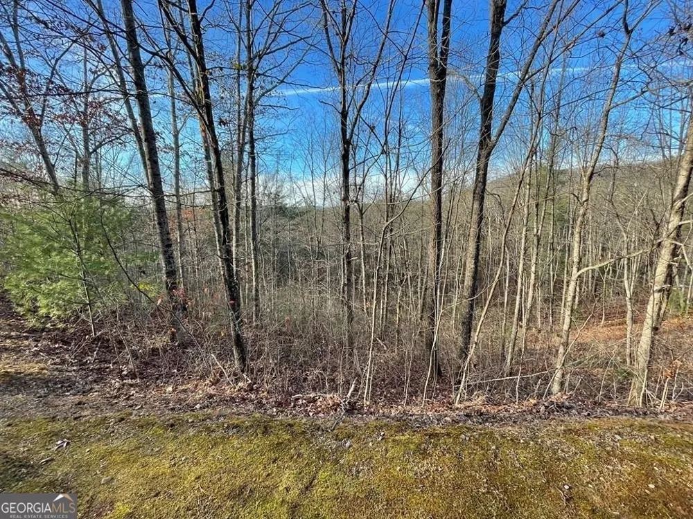 LOT 59C Mountain Harbour Hayesville, NC 28904