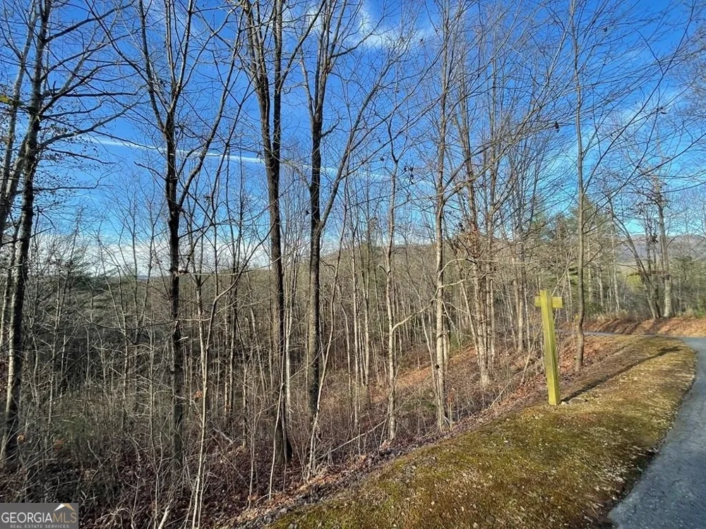 LOT 59C Mountain Harbour Hayesville, NC 28904