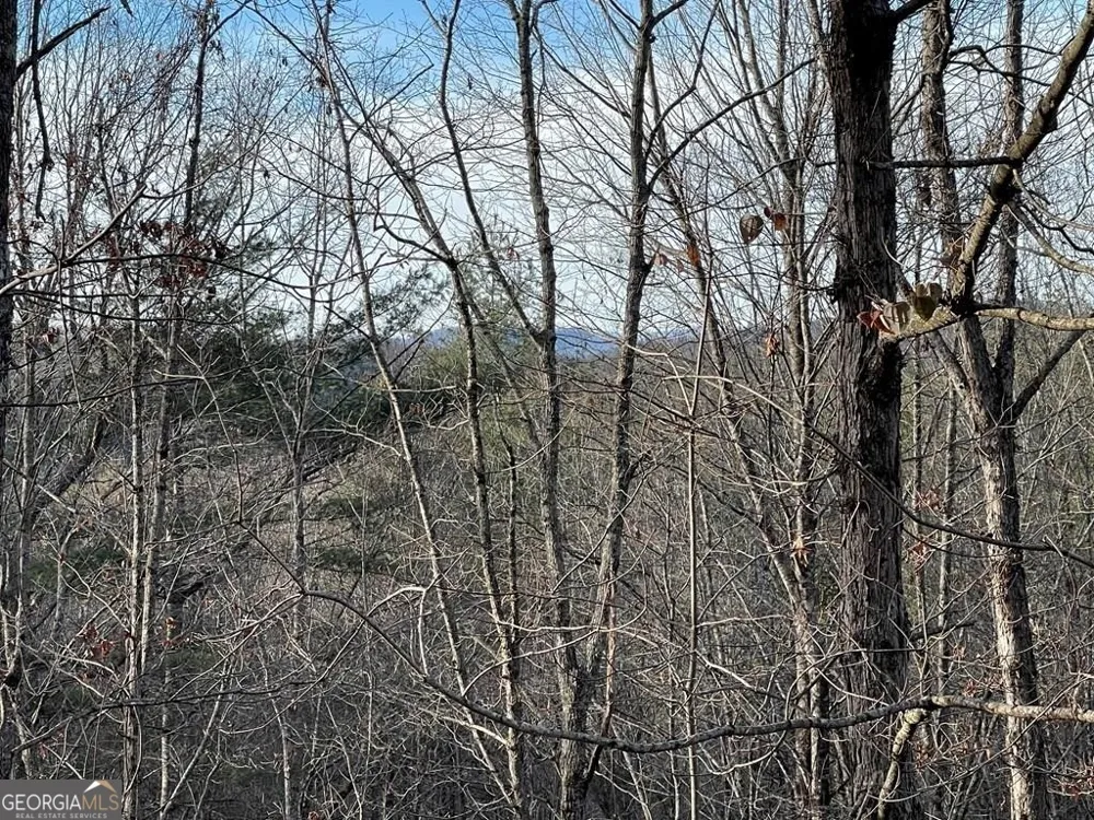 LOT 59C Mountain Harbour Hayesville, NC 28904