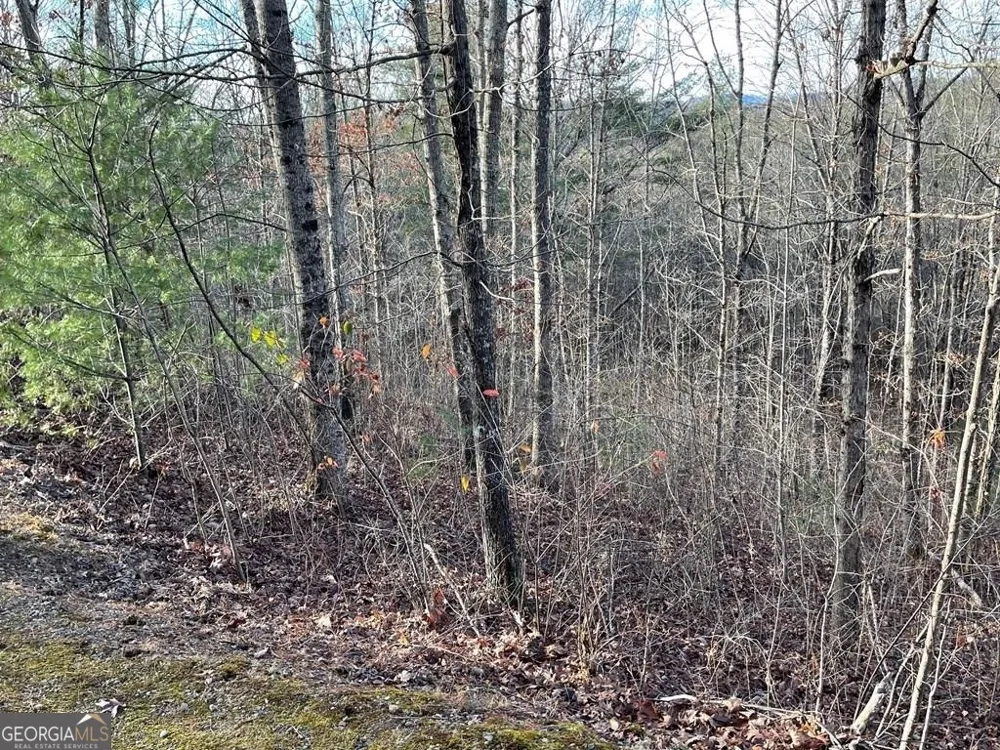LOT 59C Mountain Harbour Hayesville, NC 28904