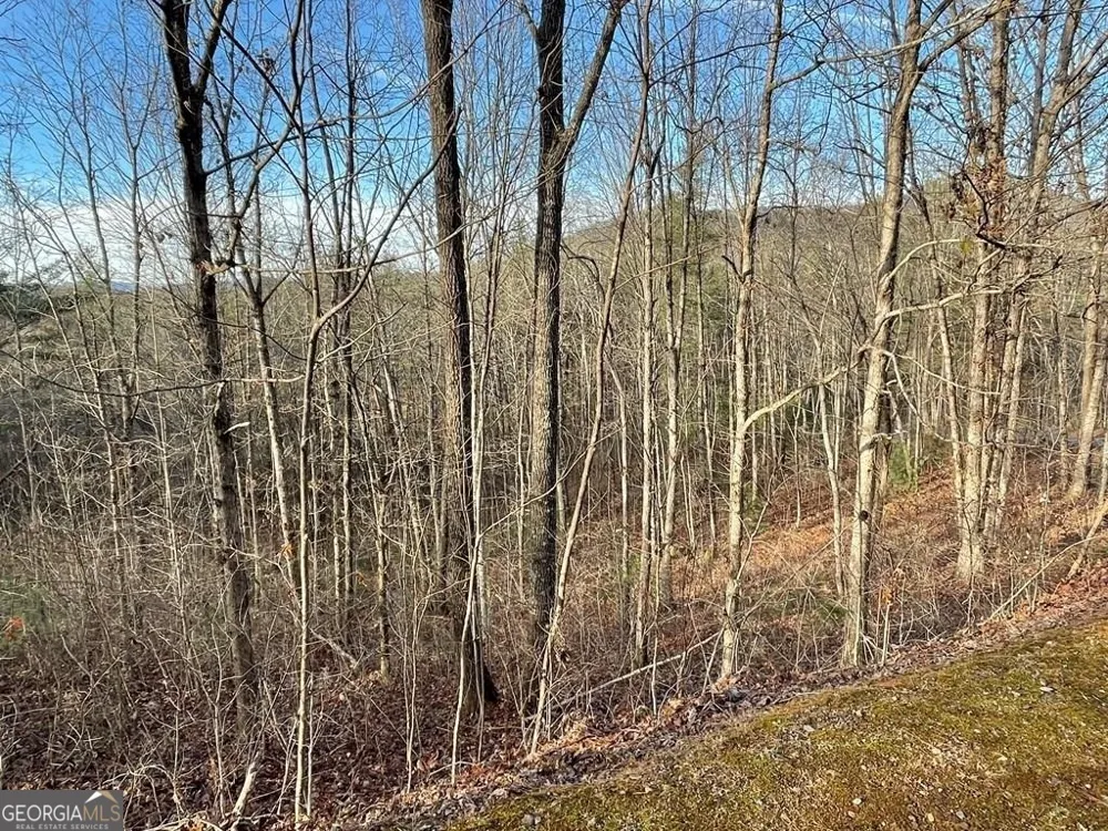 LOT 59C Mountain Harbour Hayesville, NC 28904