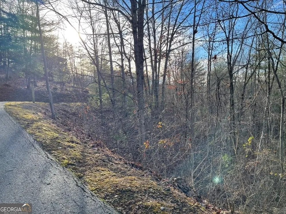 LOT 59C Mountain Harbour Hayesville, NC 28904