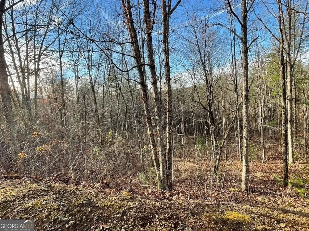 LOT 59C Mountain Harbour Hayesville, NC 28904