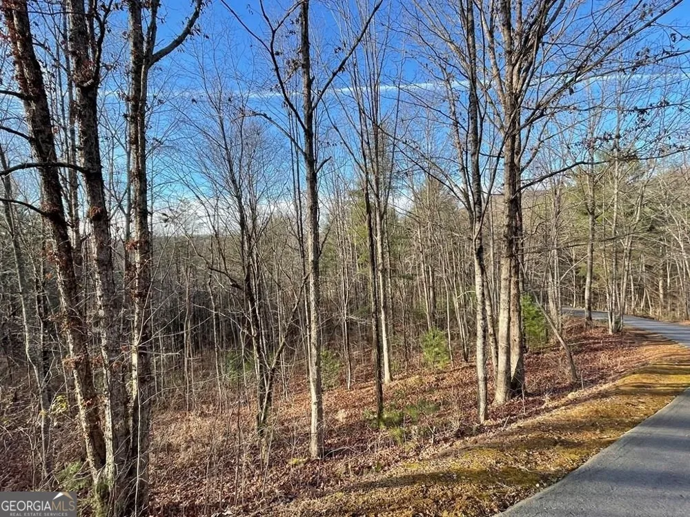 LOT 59C Mountain Harbour Hayesville, NC 28904