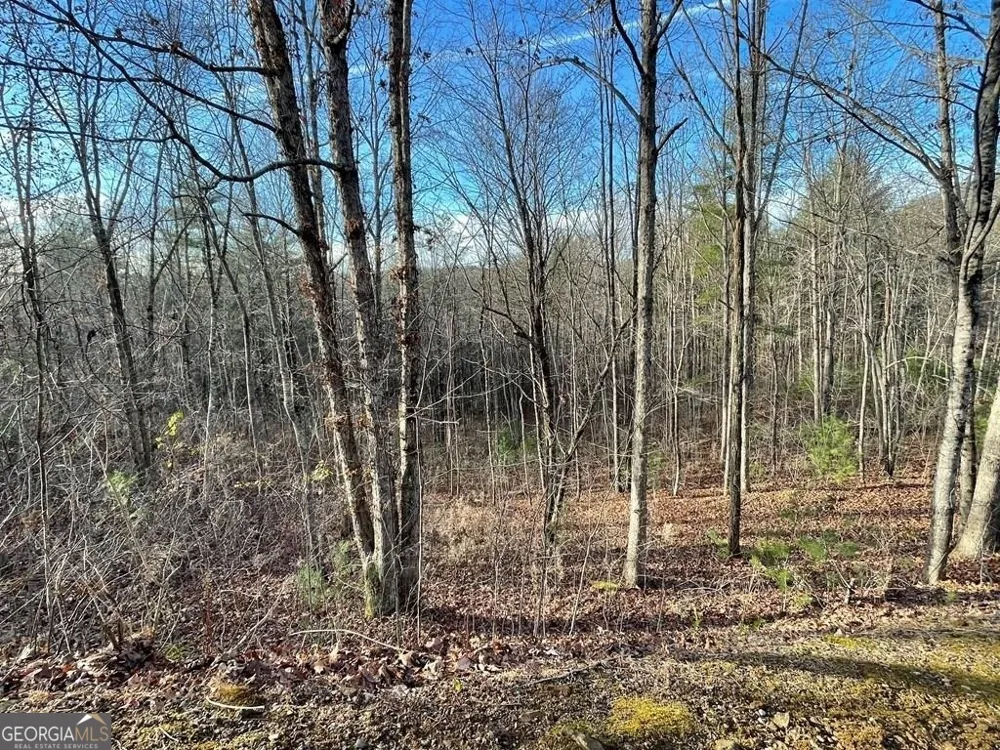 LOT 59C Mountain Harbour Hayesville, NC 28904