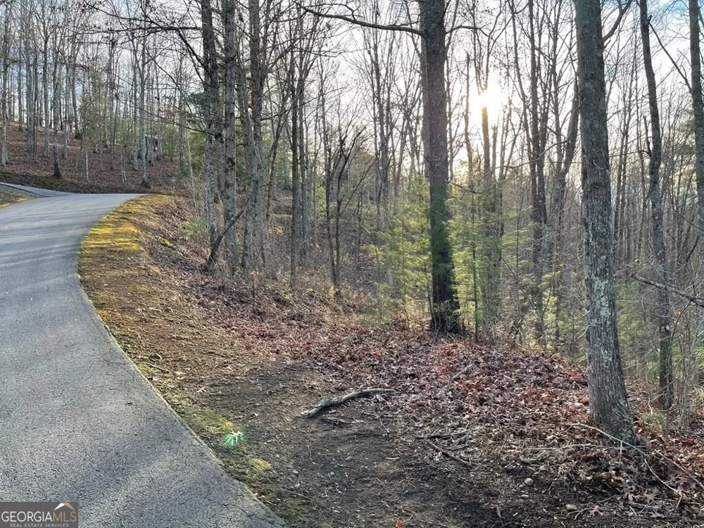LOT 59C Mountain Harbour Hayesville, NC 28904