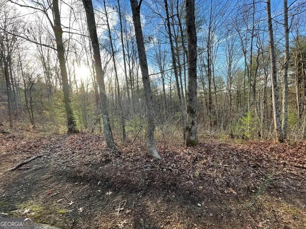 LOT 59C Mountain Harbour Hayesville, NC 28904