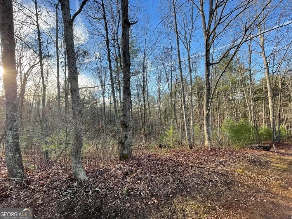 LOT 59C Mountain Harbour Hayesville, NC 28904