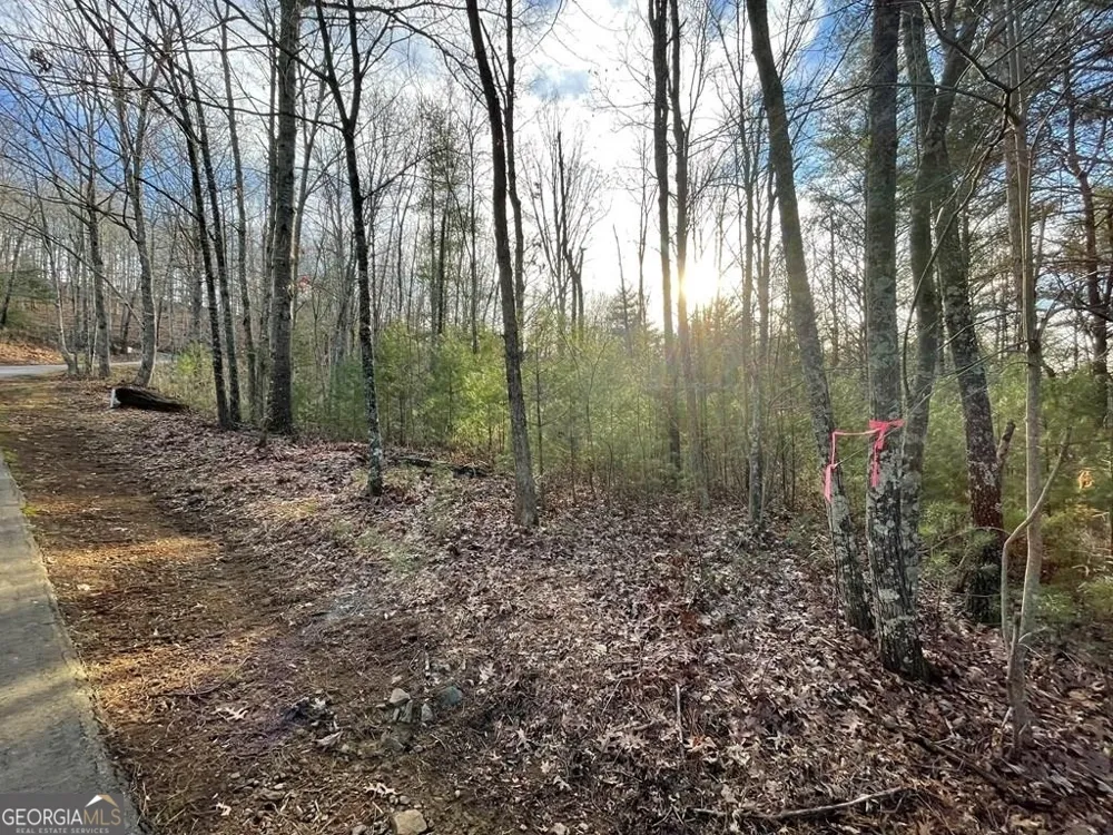 LOT 59C Mountain Harbour Hayesville, NC 28904