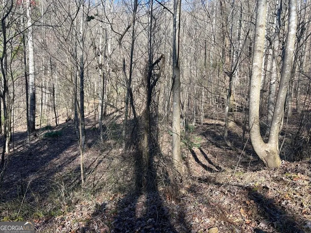 LOT 59C Mountain Harbour Hayesville, NC 28904