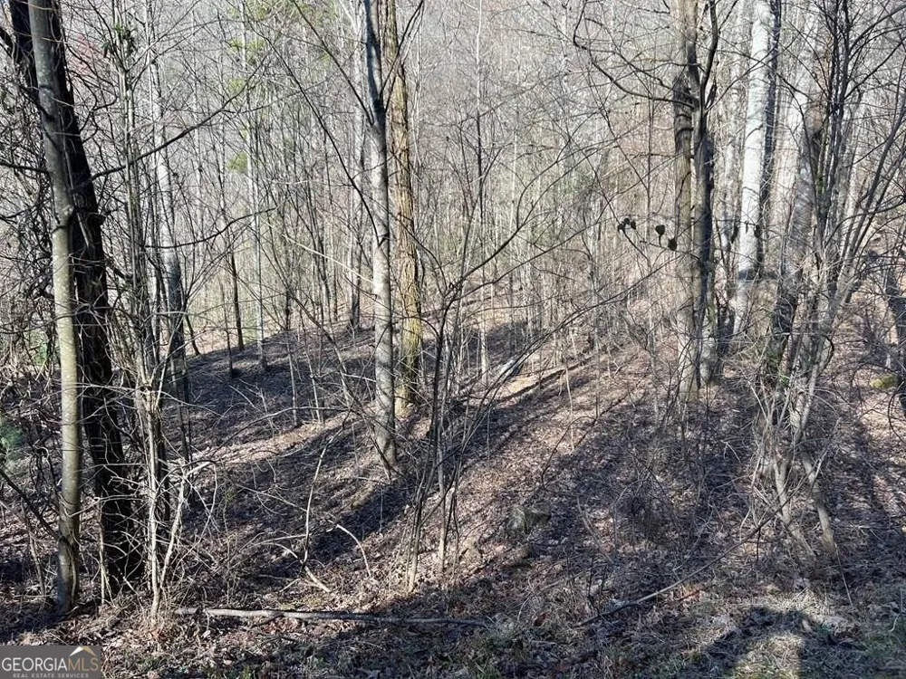 LOT 59C Mountain Harbour Hayesville, NC 28904