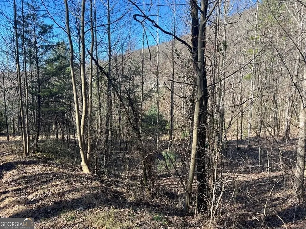 LOT 59C Mountain Harbour Hayesville, NC 28904