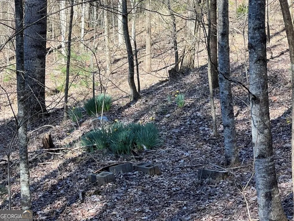 LOT 59C Mountain Harbour Hayesville, NC 28904